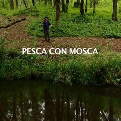 Pesca con mosca en el sur de Chile