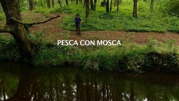 Pesca con mosca en el sur de Chile