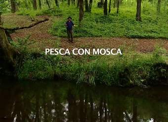 Pesca con mosca en el sur de Chile