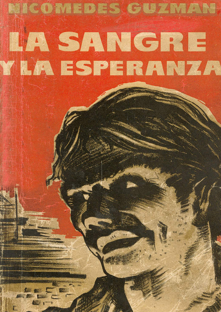 La sangre y la esperanza: barrio Mapocho: novela
