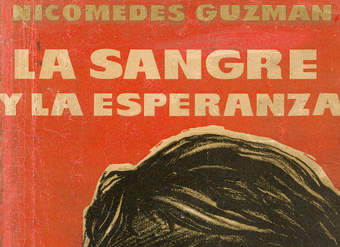 La sangre y la esperanza: barrio Mapocho: novela