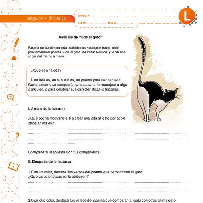 Análisis de Oda al Gato