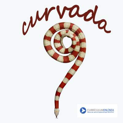 Curvada