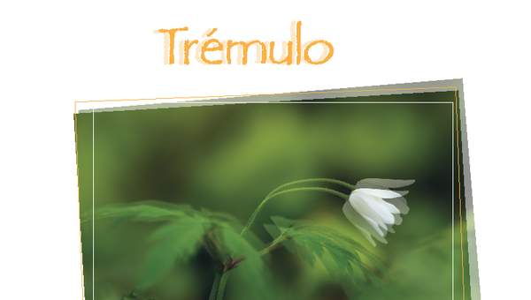 Afiche de vocabulario: trémulo