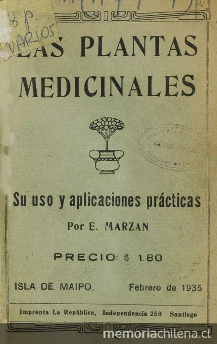 Las plantas medicinales: su uso y aplicaciones prácticas