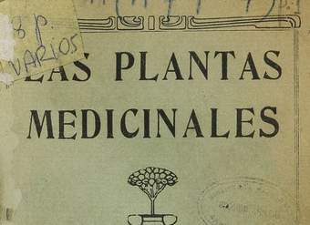 Las plantas medicinales: su uso y aplicaciones prácticas