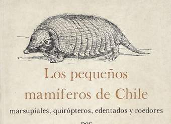 Los pequeños mamíferos de Chile: (marsupiales, quirópteros, edentados y roedores)