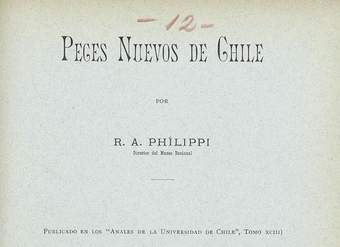 Catálogo de los peces de Chile