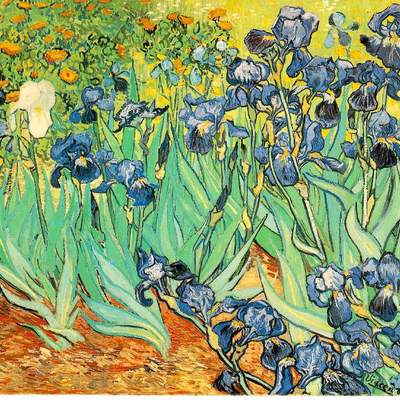 Lirios de Vincent Van Gogh