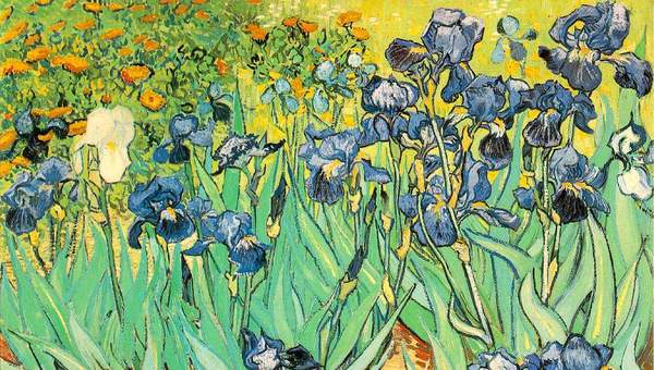 Lirios de Vincent Van Gogh