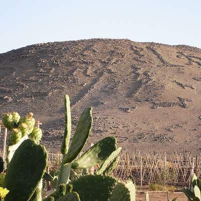 Geoglifo Cerro Sagrado, Valle Azapa, Arica