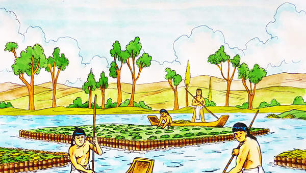 Chinampas