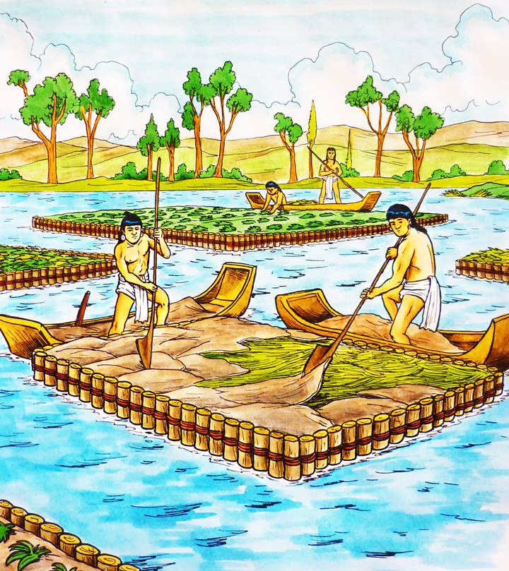 Chinampas