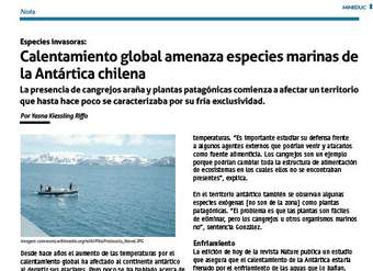 Calentamiento global amenaza especies marinas de la Antártica chilena