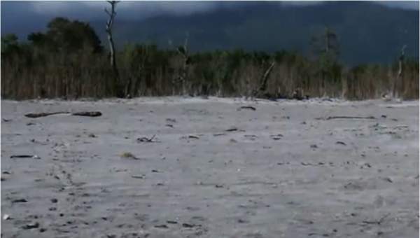 Erupción del volcán Chaitén