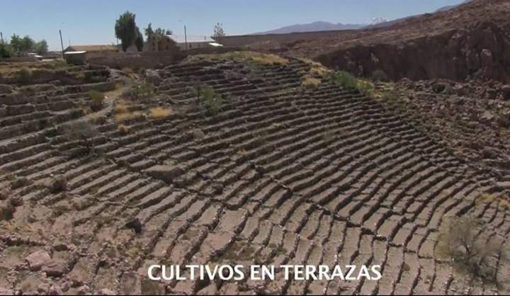 Cultivos En Las Terrazas De Caspana Curriculum Nacional Mineduc