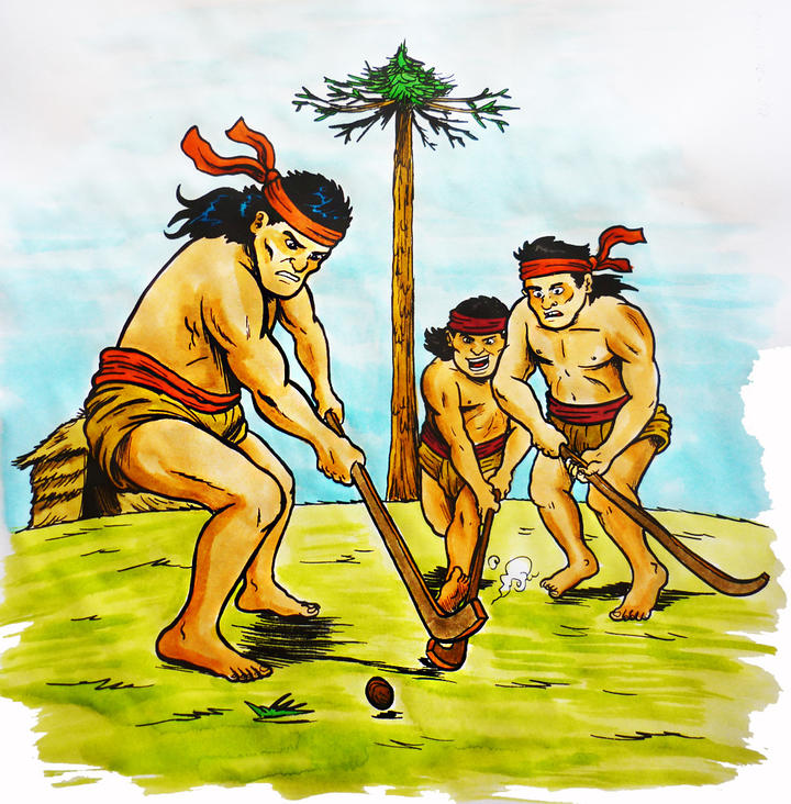 Mapuches