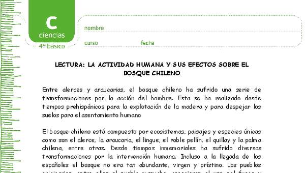 La actividad humana y sus efectos sobre el bosque chileno