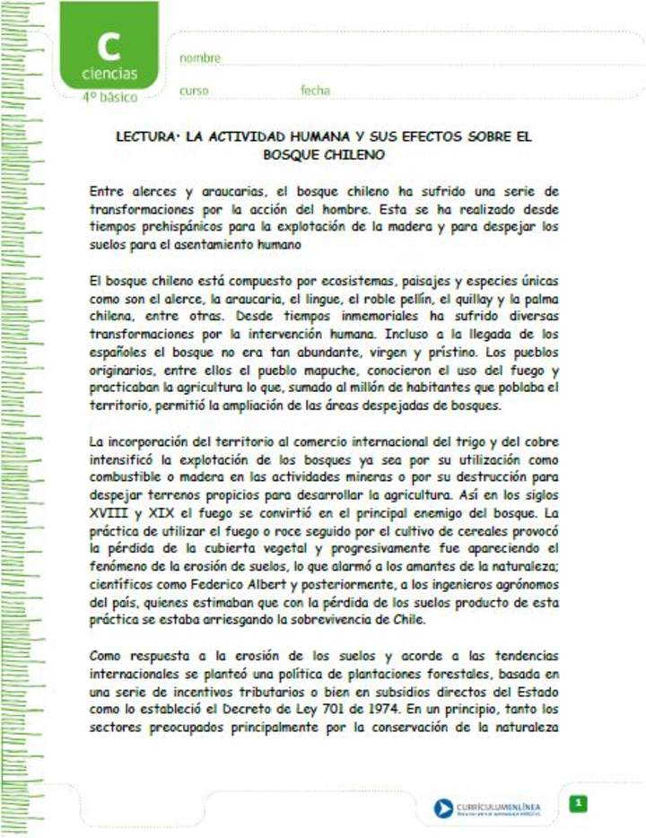 La actividad humana y sus efectos sobre el bosque chileno