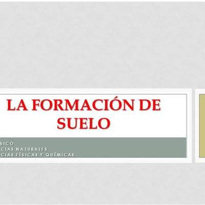 La formación de los suelos