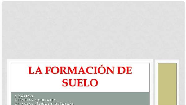 La formación de los suelos