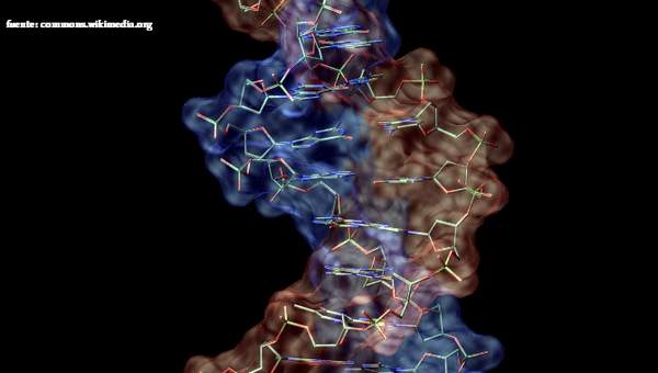 Macromolécula de ADN