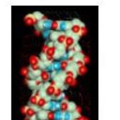 Macromolécula de ADN