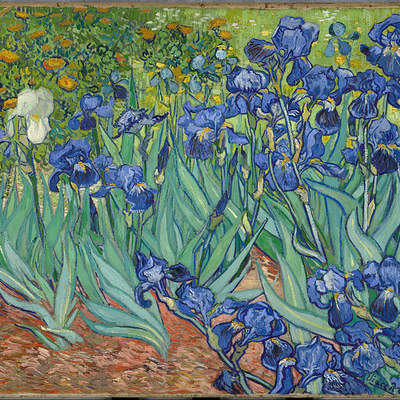 Irises de Vincent Van Gogh