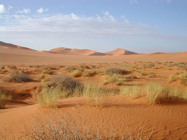 Desierto del Sahara