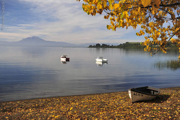 Lago Llanquihue