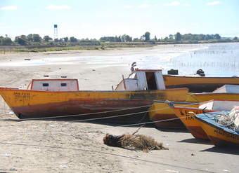 Playa Maullín