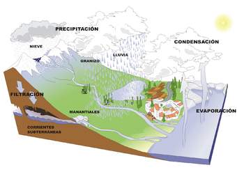 Ciclo del agua sin rotular