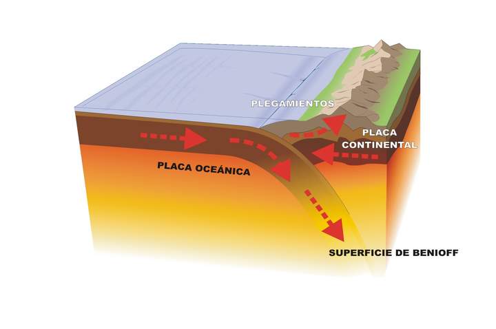 Contacto entre una placa oceánica y continental rotulado