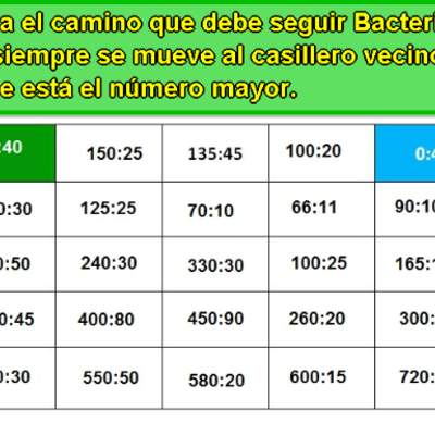 Bacterita (III)