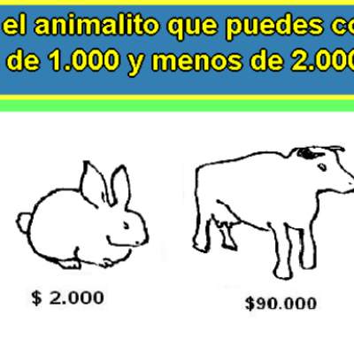 ¿Qué animal puedo comprar?