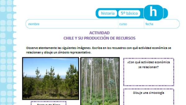 Chile y su producción de recursos