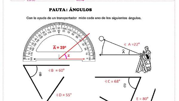 Medir ángulos con el uso del transportador (II)