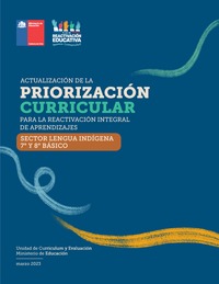 Priorización Curricular Lengua Indígena