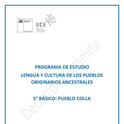 Programa de Estudio COLLA 5° básico