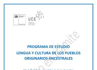 Programa de Estudio DIAGUITA 5° básico