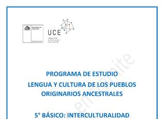 Programa de Estudio INTERCULTURALIDAD 5° básico