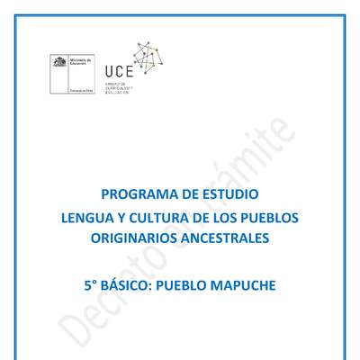 Programa de Estudio MAPUCHE 5° básico