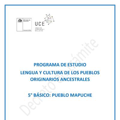 Programa de Estudio MAPUCHE 5° básico