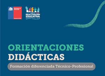 Orientaciones didácticas: Formación Diferenciada Técnico Profesional