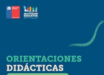 Orientaciones didácticas: Formación Diferenciada Artística