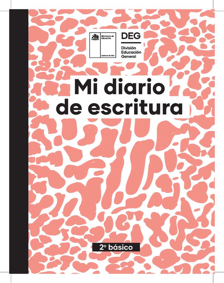 Diarios de escritura libre. 2° básico