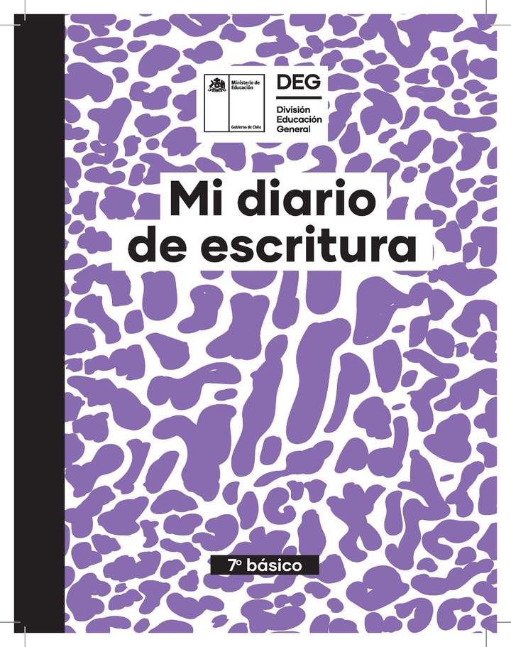 Diarios de escritura libre. 7° básico