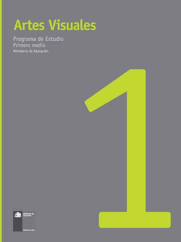 Ficha programa - Artes Visuales 1° Medio