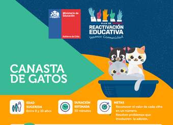 Infografía: Canasta de gatos