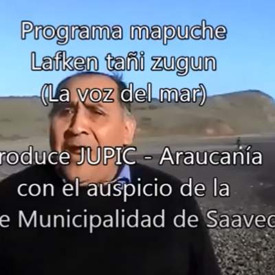 La música Mapuche - Tipos de ül